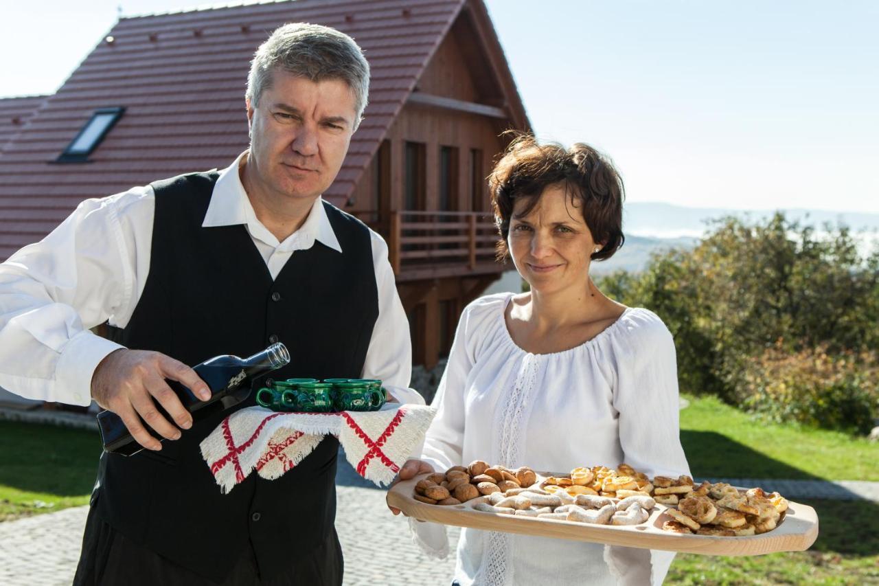 Pensiunea Szilas Panzio Pauleni Luaran gambar